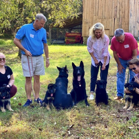 Puppy play date at Ransomshire