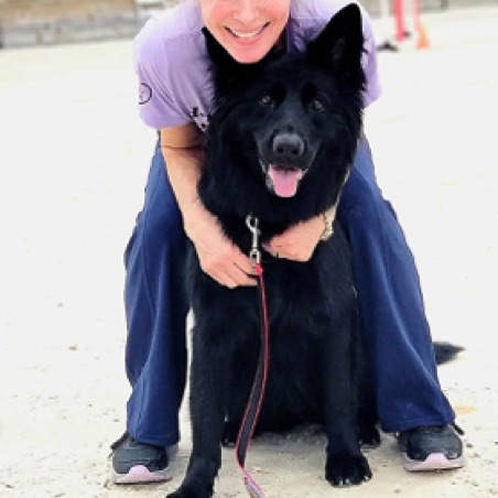 Sophie the incredible rally and agility dog with owner and handler Amy