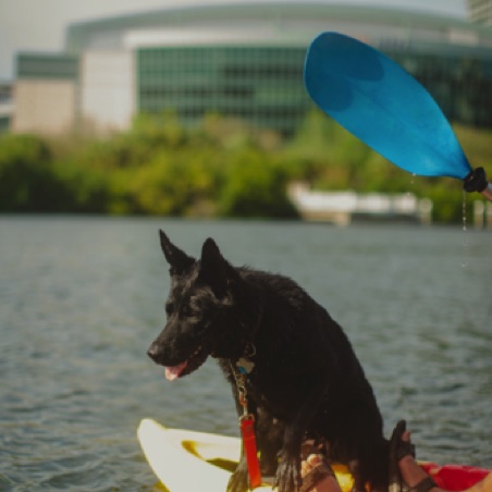 We love a kayaking dog