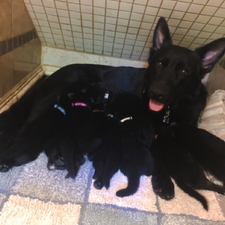 Perry shows off her litter